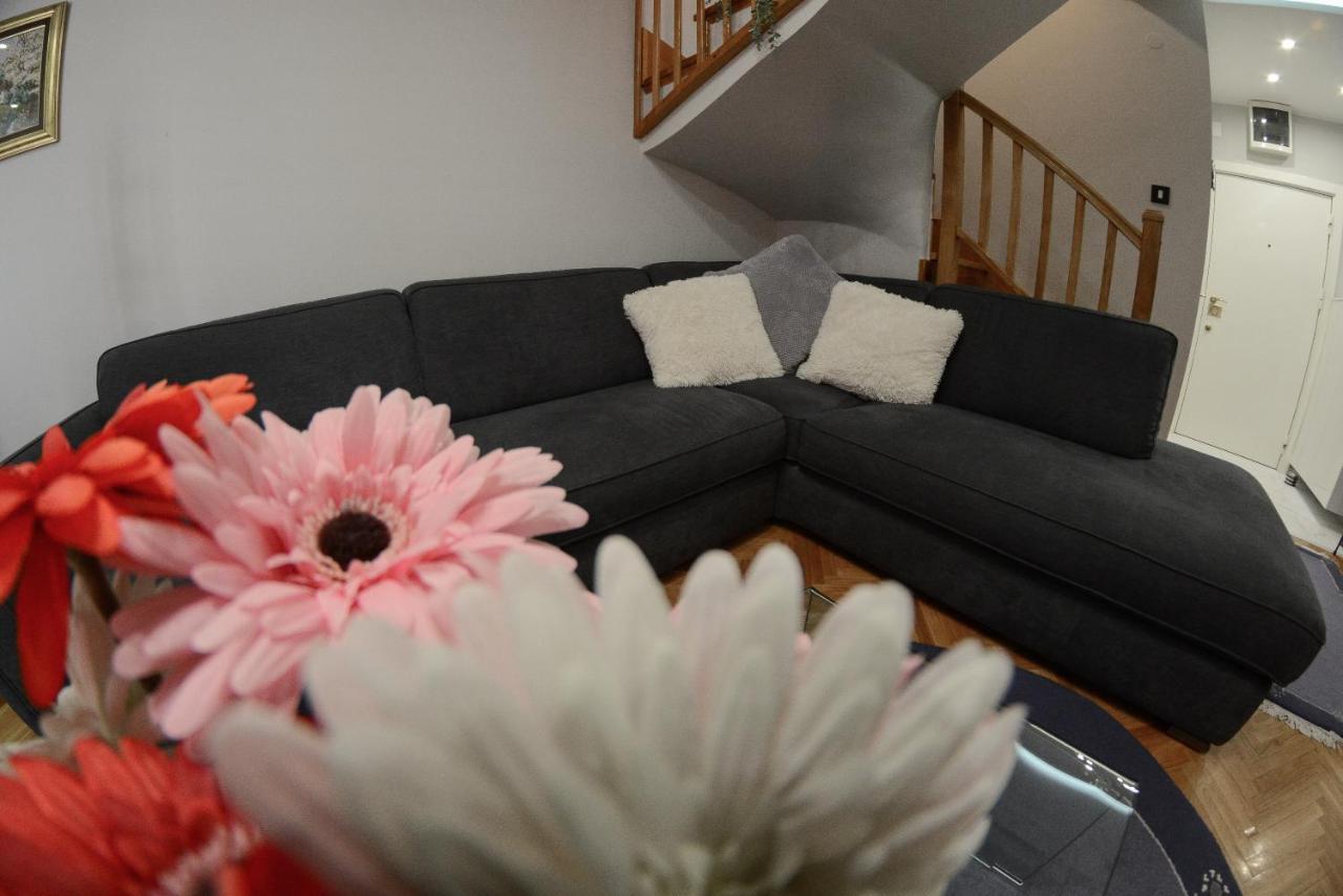 Apartment Dobraya Blue Novi Sad Dış mekan fotoğraf